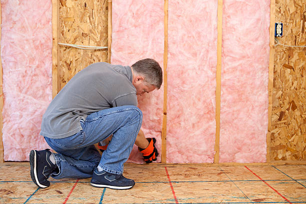 Best Blown-in Insulation in Walcott, IA